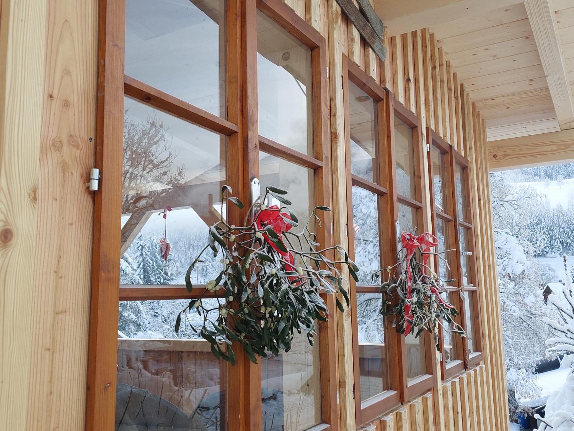 茵特斯托德Haus Enzian公寓 外观 照片